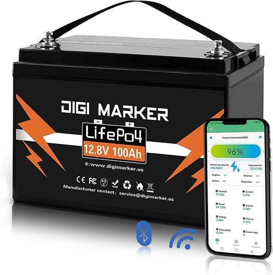 12.8V 100Ah LiFePO4 Battery 1280Wh With Bluetooth