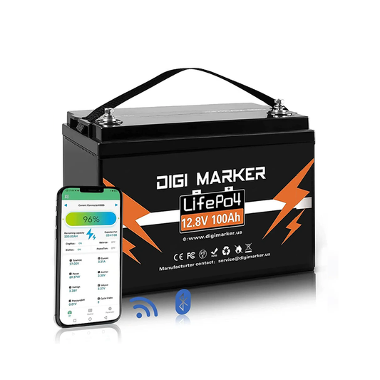 12.8V 100Ah LiFePO4 Battery 1280Wh With Bluetooth