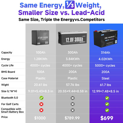🔥DIGI CN-Plus Mini 12V 314Ah Lithium Battery BMS