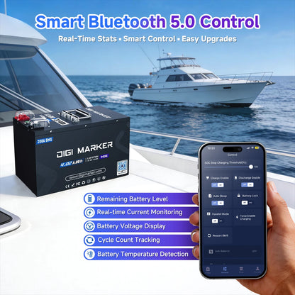 🔥DIGI 12.8V 314Ah Mini LiFePO4 Battery 200A BMS 4.02 kWh