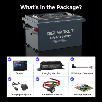 🔥DIGI CS-48V 100ah Mini-Golf Cart Lithium Battery