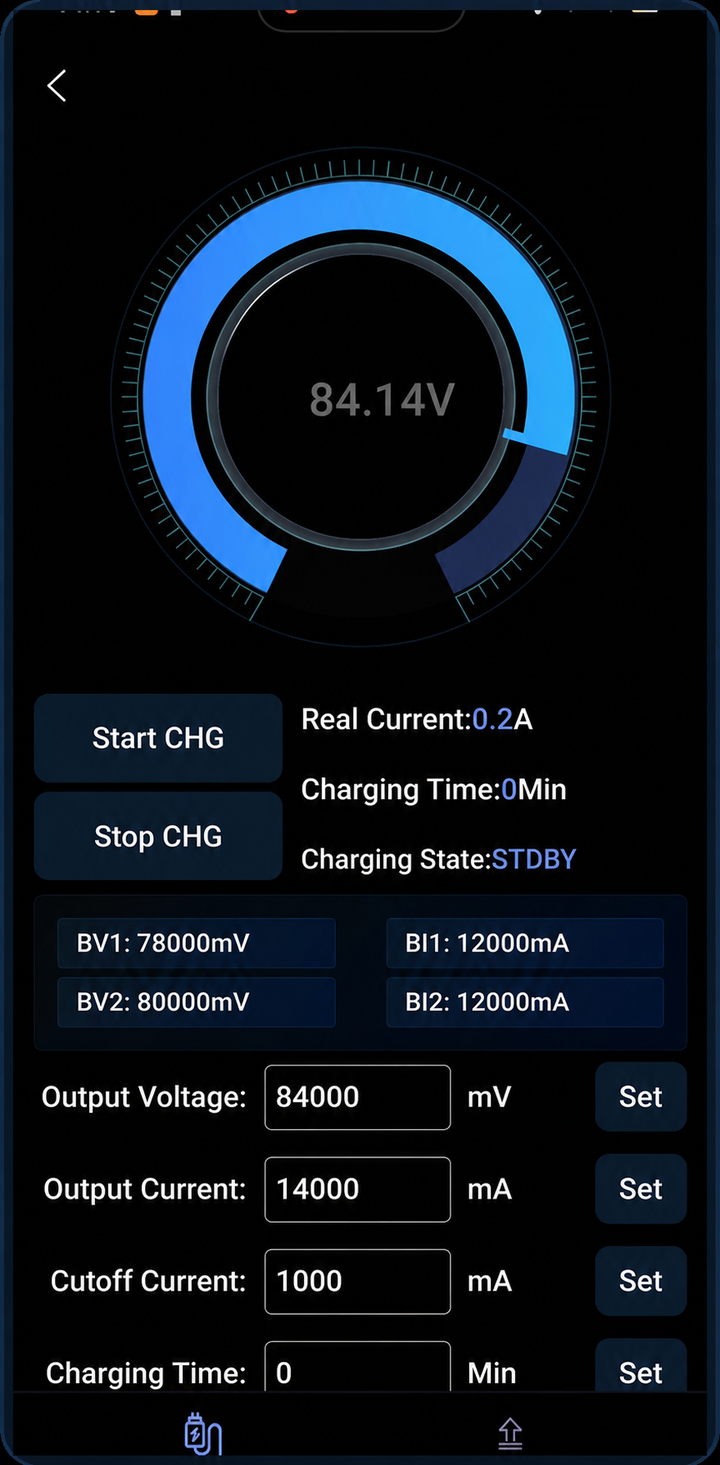 Example of the required DigiMarker charger Status screen